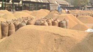 किसानों को बड़ी राहत, राजस्थान और हरियाणा के बाद अब Punjab में भी गेहूं खरीद में केंद्र सरकार ने दी छूट